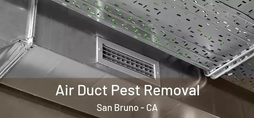  Air Duct Pest Removal San Bruno - CA