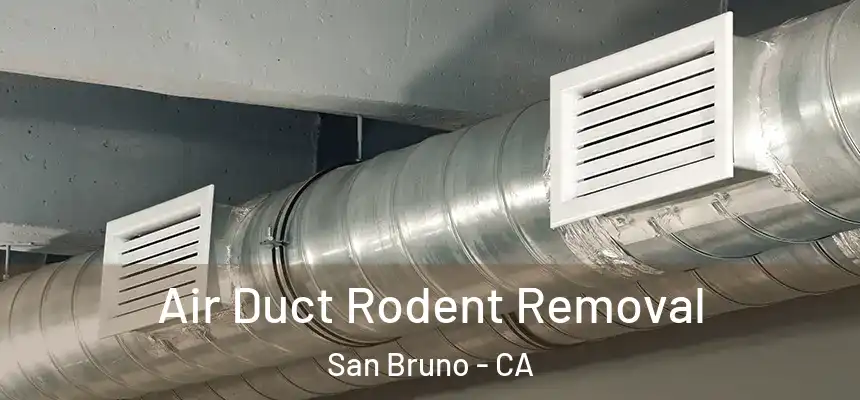 Air Duct Rodent Removal San Bruno - CA