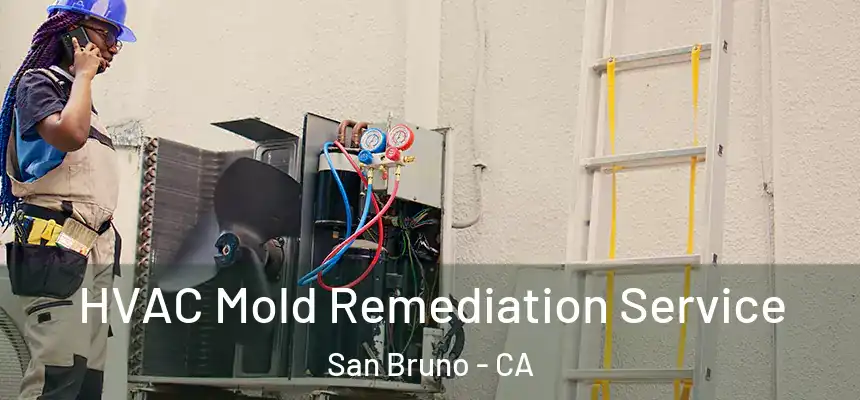  HVAC Mold Remediation Service San Bruno - CA