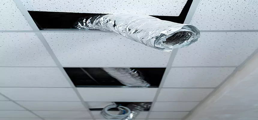 Our Air Duct Pet Hair Removal Services in San Bruno, CA