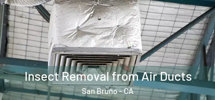  Insect Removal from Air Ducts San Bruno - CA
