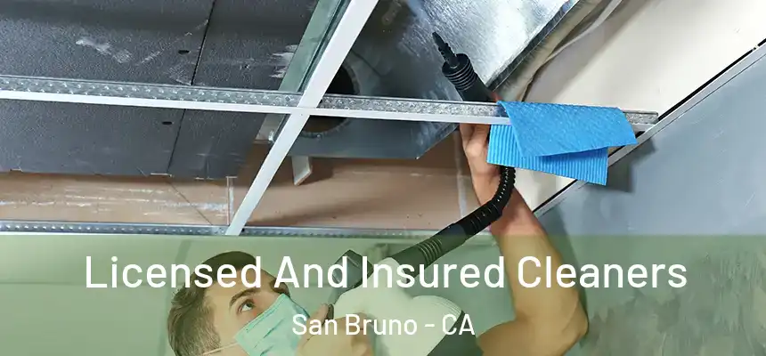  Licensed And Insured Cleaners San Bruno - CA