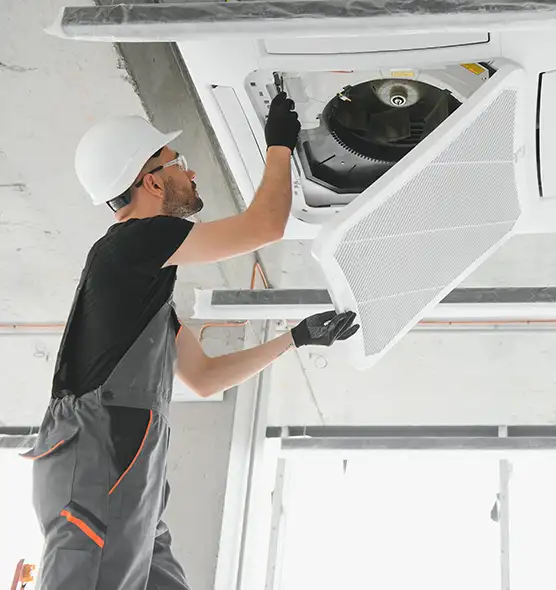 About Air Duct Rodent Removal in San Bruno, CA