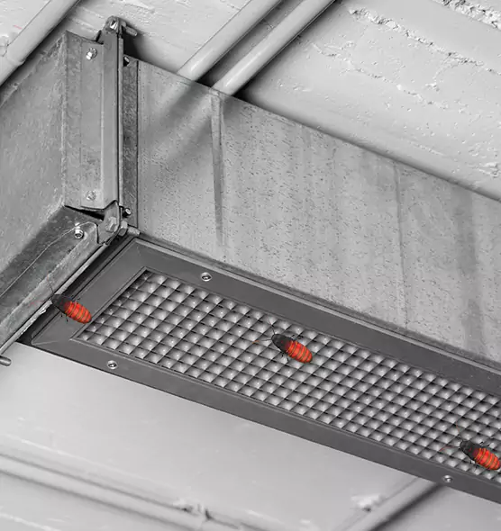 Affordable Insect Removal from Air Ducts in San Bruno, CA