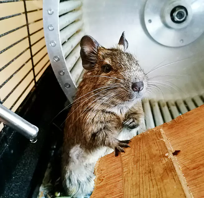 Why Homeowners & Businesses Trust Us San Bruno, CA?