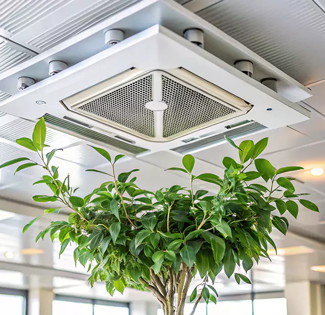 Why Homeowners & Businesses Trust Us in San Bruno, CA?