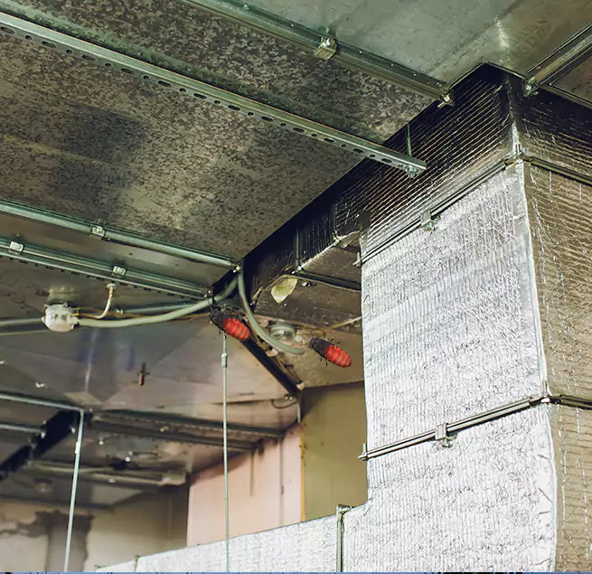 Why Homeowners & Businesses Trust Us San Bruno, CA?